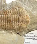 PlanMySchoolTrip trip idea