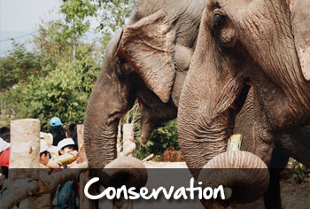 conservation school trips