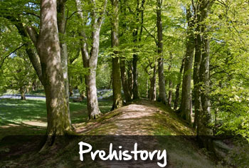 prehistory trips