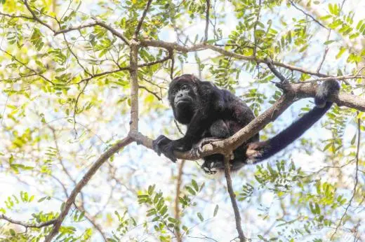 Costa Rica Learning Service school groups