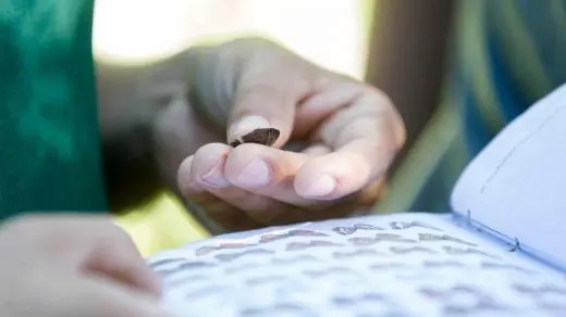 Costa Rica Learning Service school groups