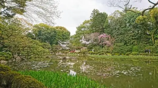 STEM, History, Arts and Sports Trips To Japan school groups
