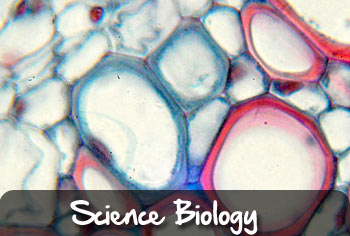 biology science