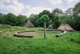 Stone Age and Bronze Age - Limited dates summer available!