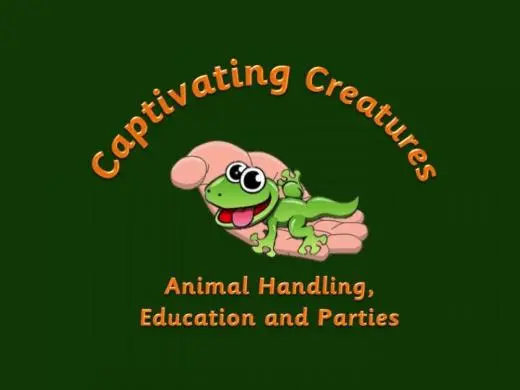 Captivating Creatures photograph