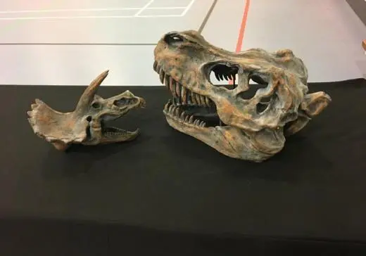 school trip at Dinosaurs
