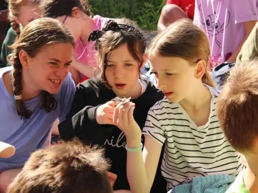 school trip at Epping Forest field centre