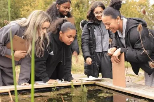 International Baccalaureate Diploma school groups