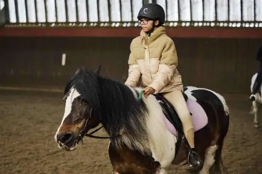 Lee Valley Riding Centre photograph