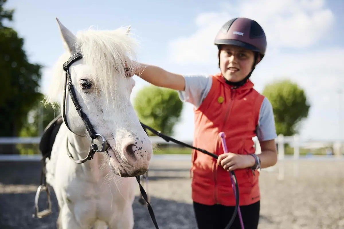 child learning to ride a small horse