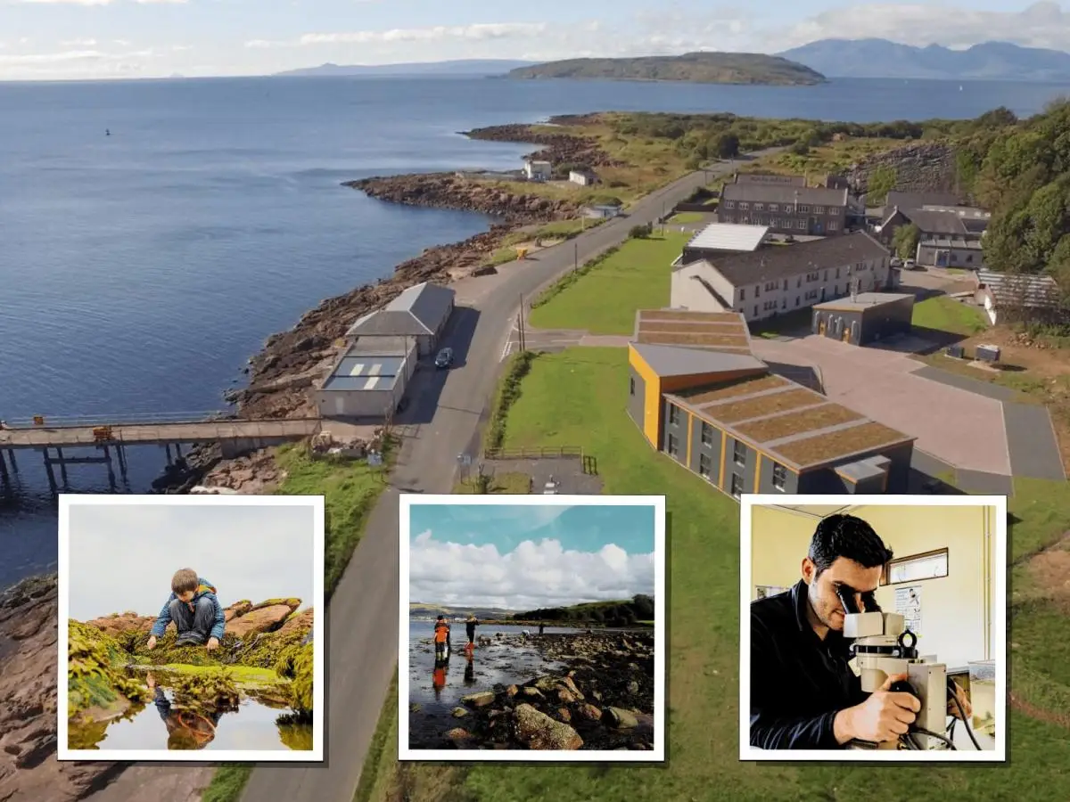 mage for a residential school trip at Millport Field Centre Outdoor Activity centre in Scotland KS2 KS3 KS4 Field Studies School Trips