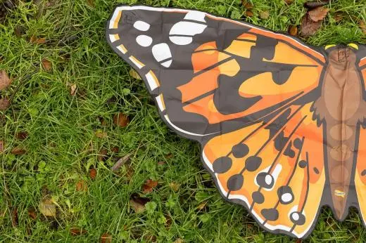 colourful butterfly kite being used in a life cycles workshop