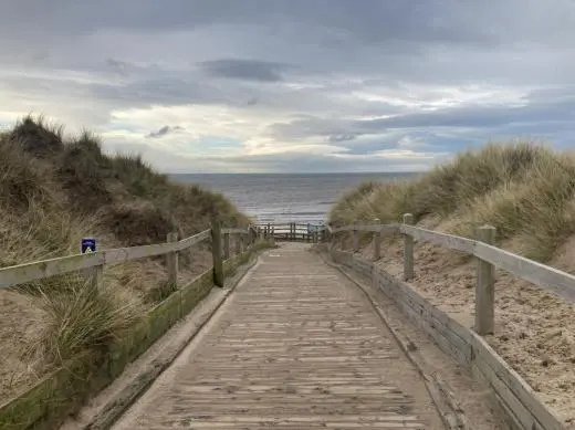 school trip at NatureLab Formby Sand Dunes Field Trips