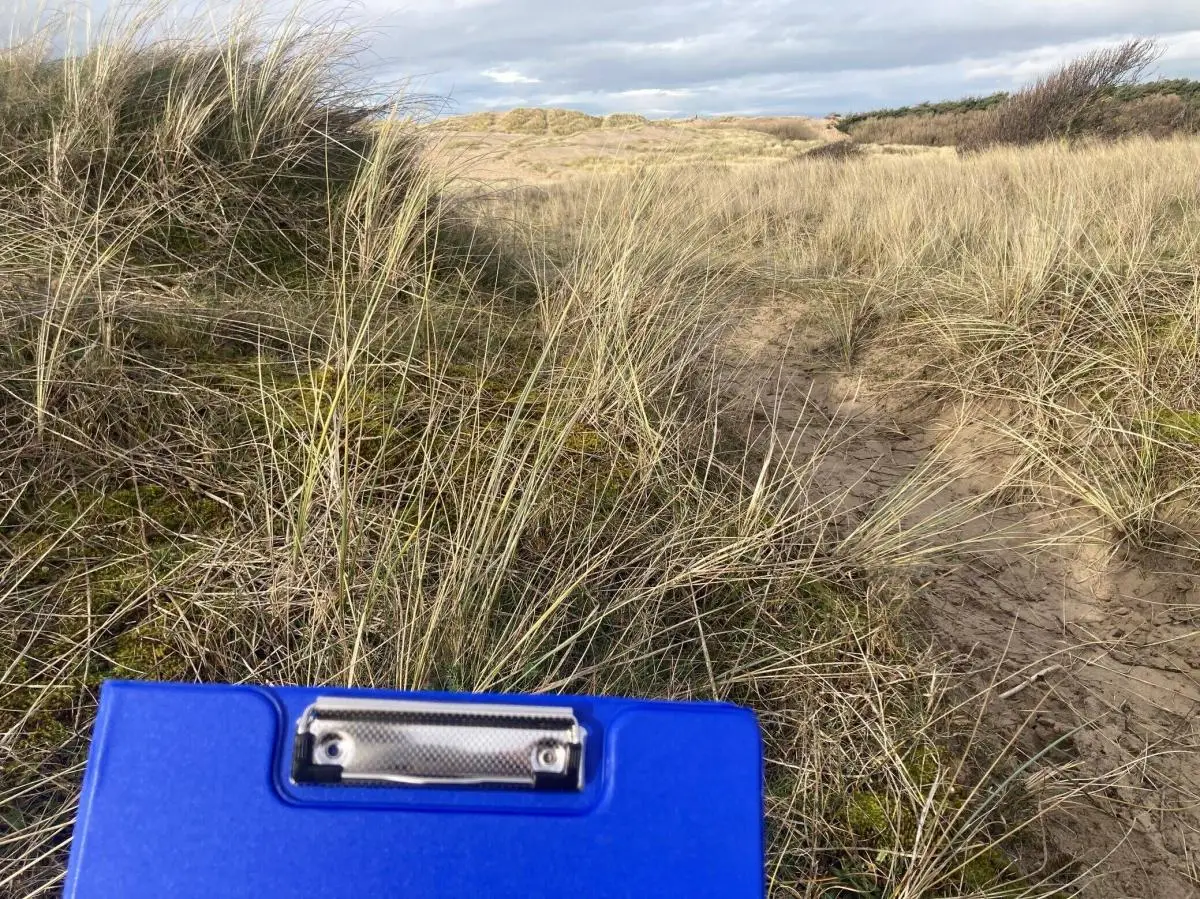 school field trip at formby sands dunes