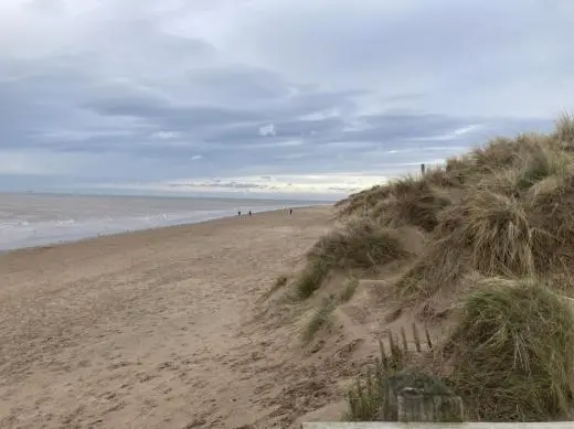 NatureLab Formby Sand Dunes Field Trips school groups