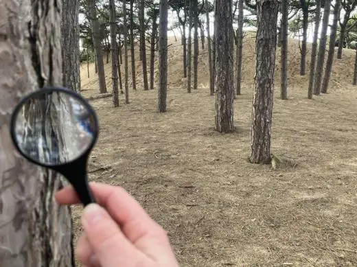 NatureLab Formby Sand Dunes Field Trips school groups