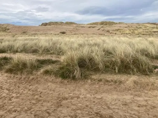 NatureLab Formby Sand Dunes Field Trips photograph