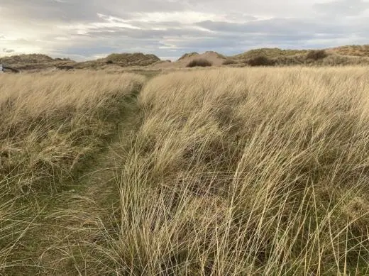 NatureLab Formby Sand Dunes Field Trips school groups