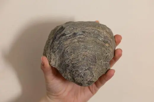 school trip at NatureLab Fossils and Evolution