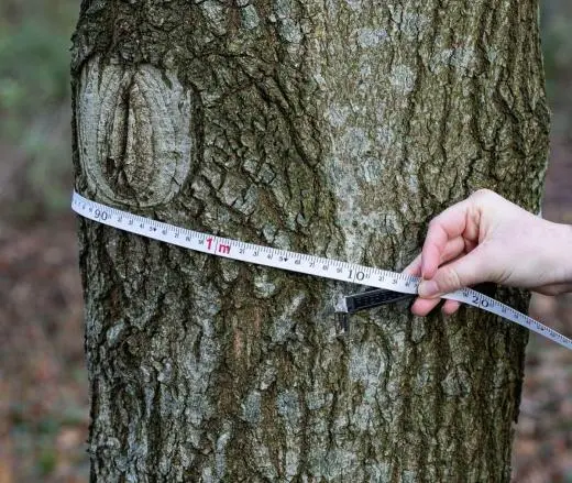 school trip at NatureLab Habitat Explorers