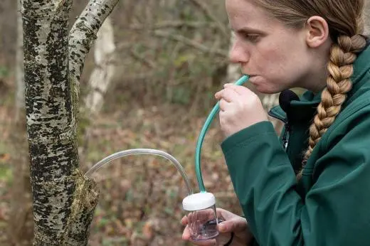 school trip at NatureLab in school Biology Fieldwork