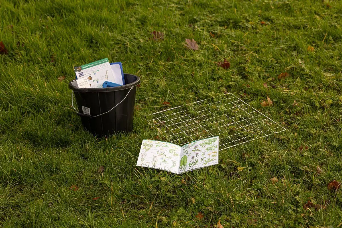 biology field work plant guide and quadrat