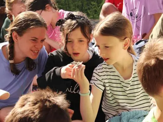 Preston Montford Field Centre school groups