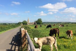 Residential & Day Trips at The Chellington Centre school groups