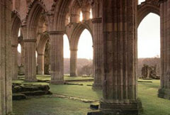 Rievaulx Abbey photograph