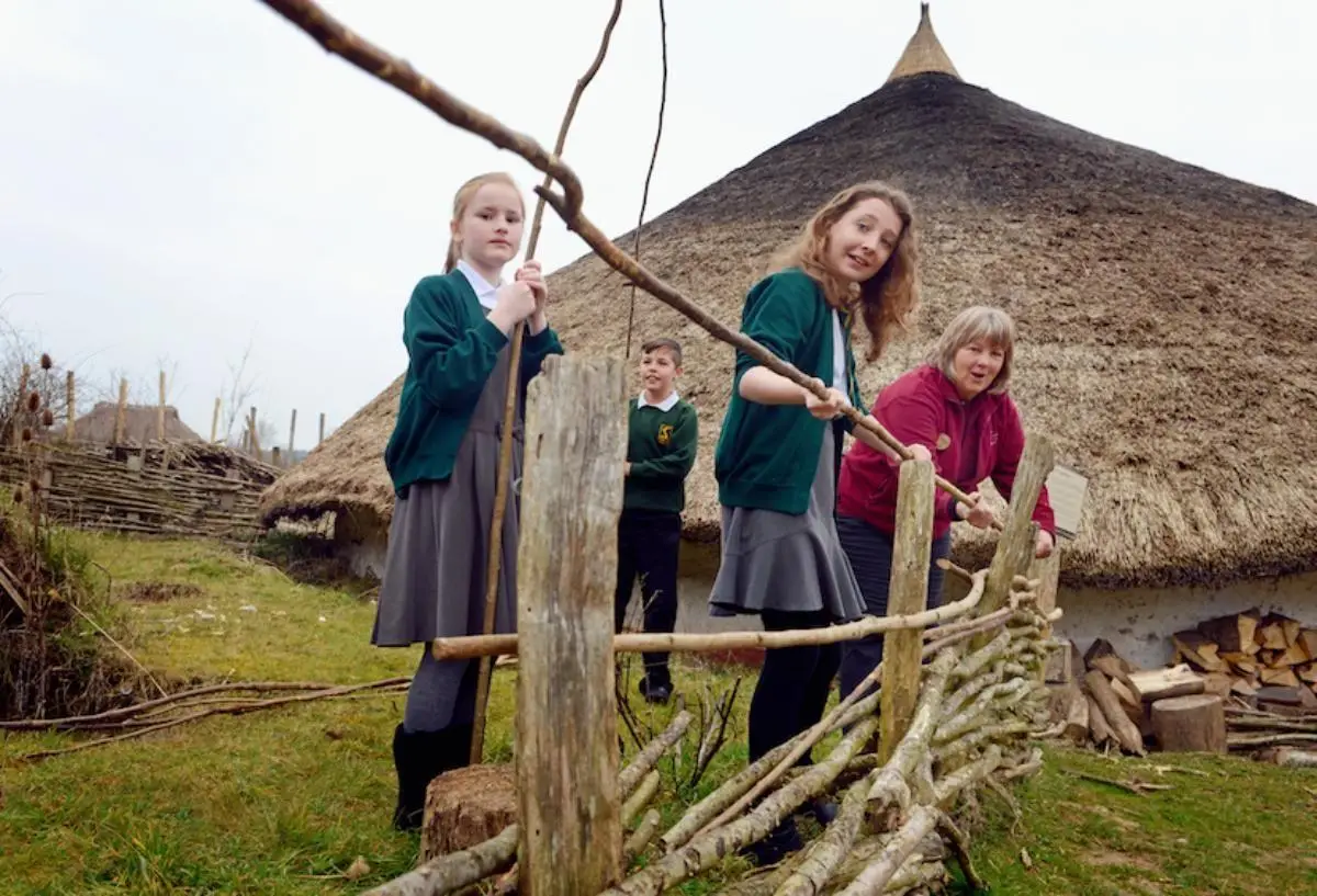 school group making a fence from hazel sticks