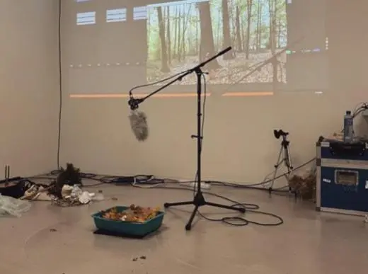 Science of Sound school groups
