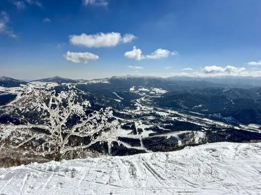 Ski Trip To Japan school groups