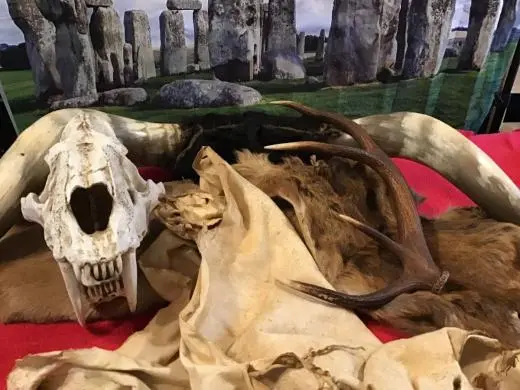 Stone Age Thrive or Survive Specials - Starring your class, in your school school groups