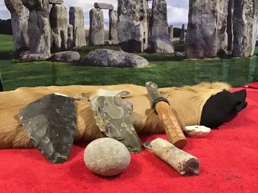 Stone Age Thrive or Survive Specials - Starring your class, in your school school groups