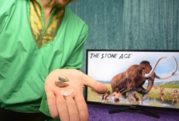 Stone Age to Iron Age Workshop & Wow Day