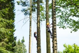 Team Building Outdoor Adventures school groups