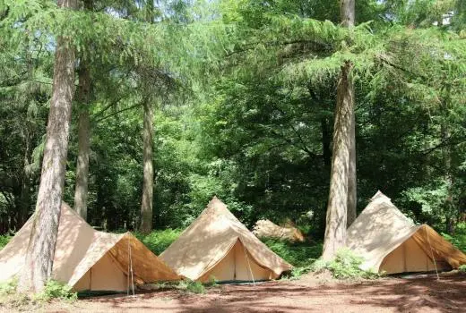 The Bushcraft Company - Penshurst Place school groups