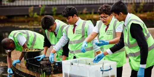 Children pond dipping