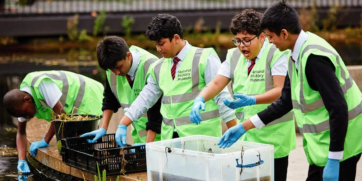 Children pond dipping