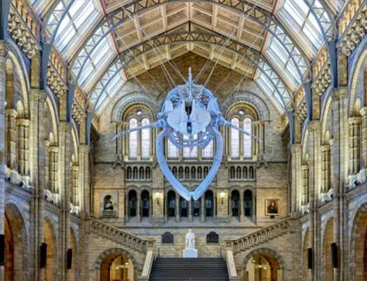 The Natural History Museum photograph