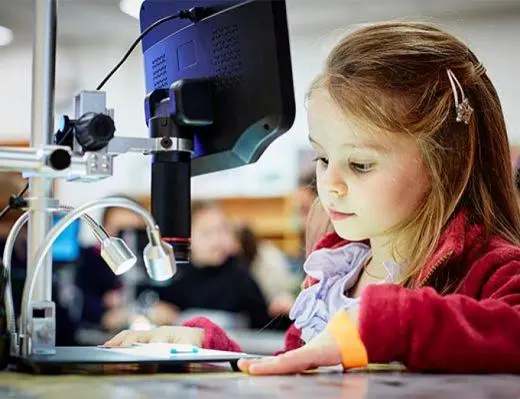 school trip at The Natural History Museum