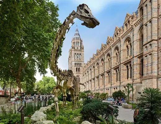 The Natural History Museum school groups