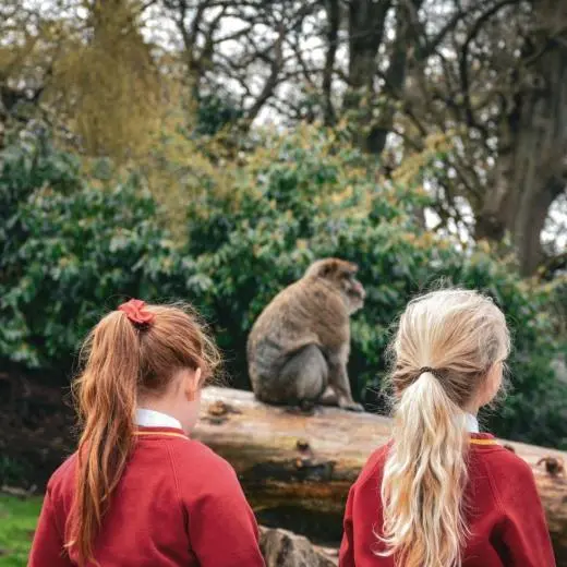 Trentham Monkey Forest